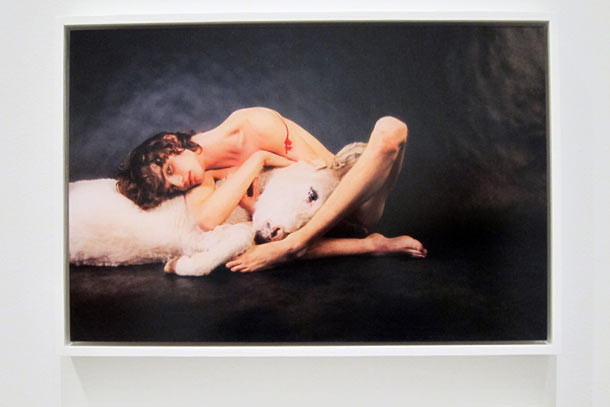 Carousel Image number 15