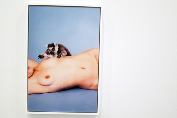 Carousel Image number 23