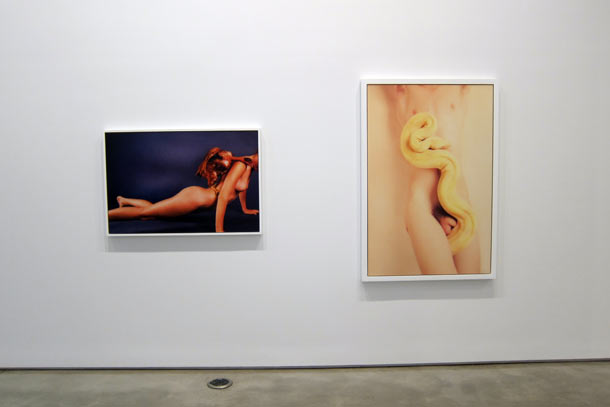 Carousel Image number 25