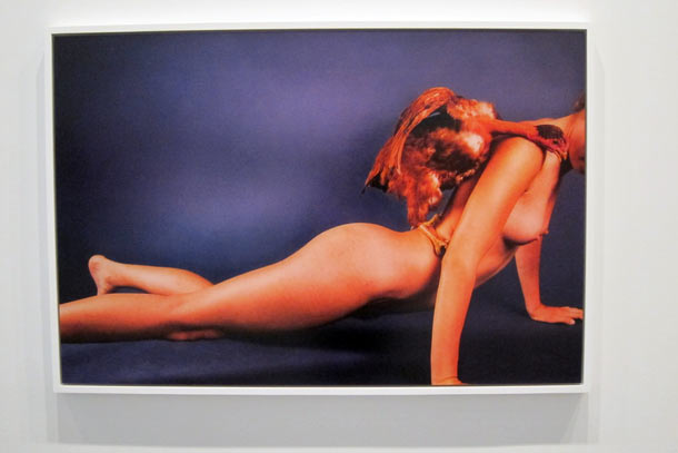 Carousel Image number 26