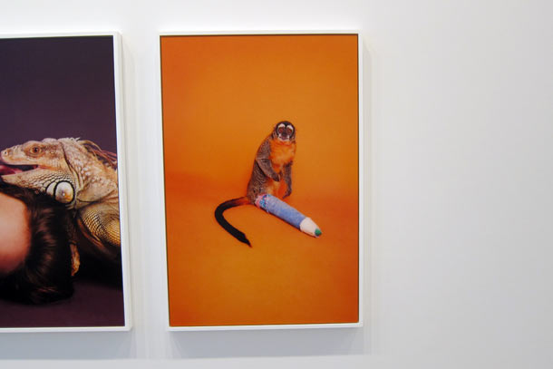 Carousel Image number 27