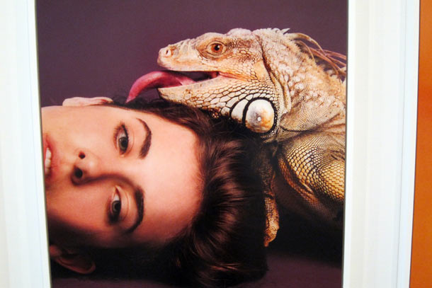 Carousel Image number 29