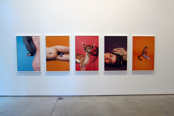 Carousel Image number 30