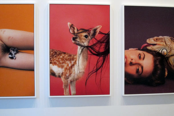 Carousel Image number 36