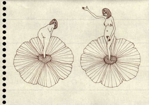Carousel Image number 7