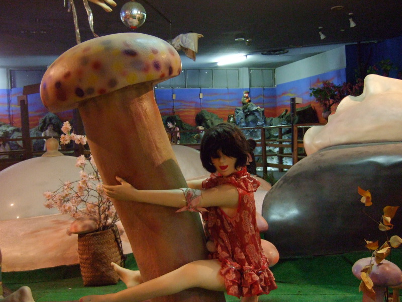 Carousel Image number 8