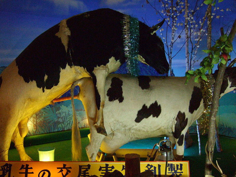 Carousel Image number 14