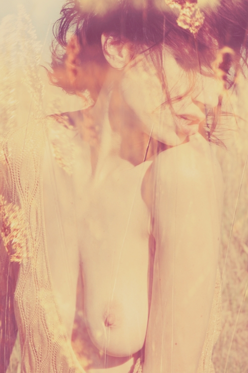 Carousel Image number 7