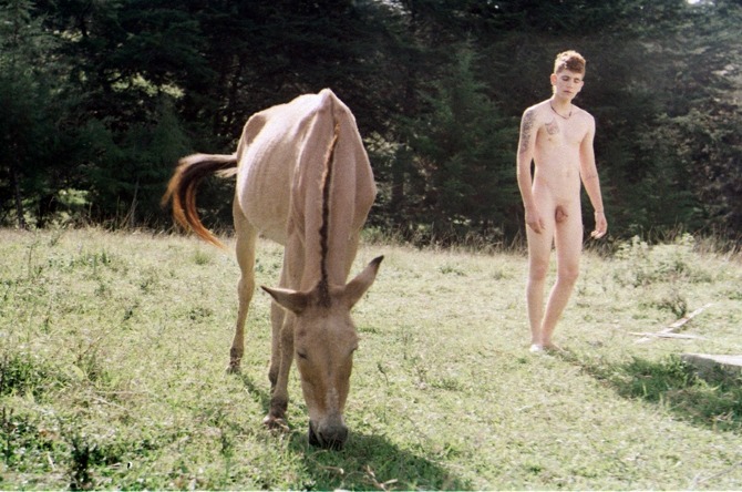 Carousel Image number 13