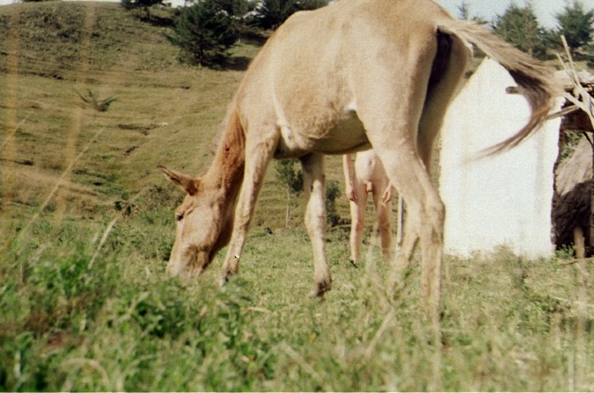 Carousel Image number 14