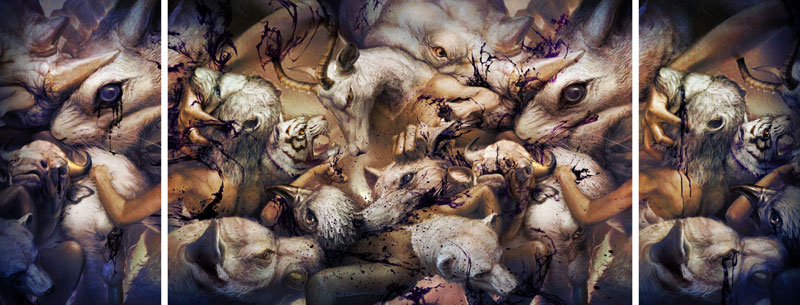 Carousel Image number 10