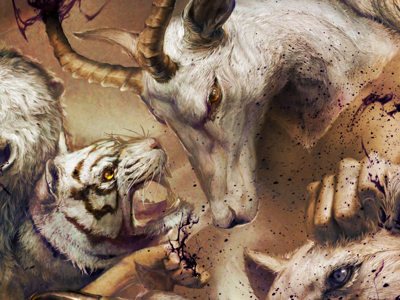 Carousel Image number 11