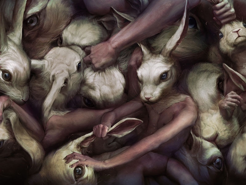 Carousel Image number 13