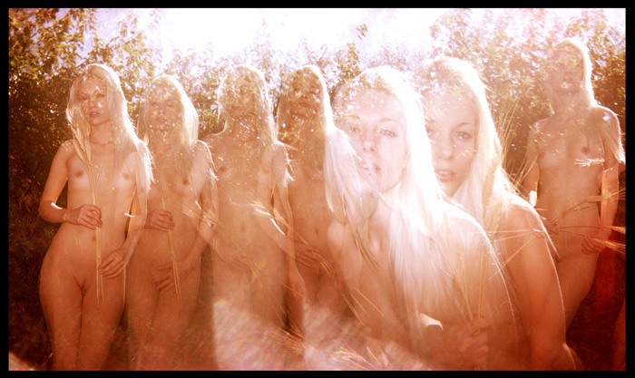 Carousel Image number 7