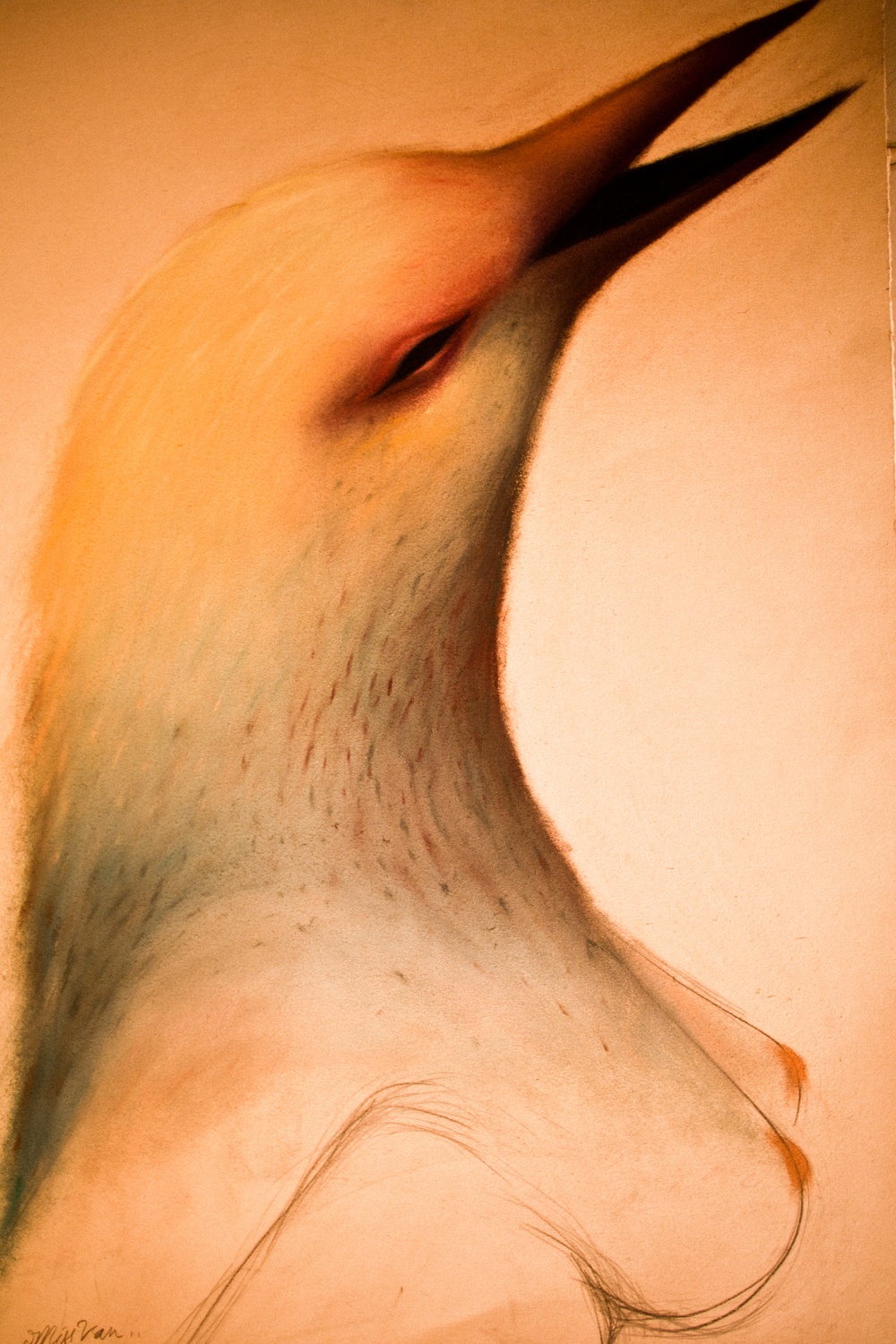 Carousel Image number 1