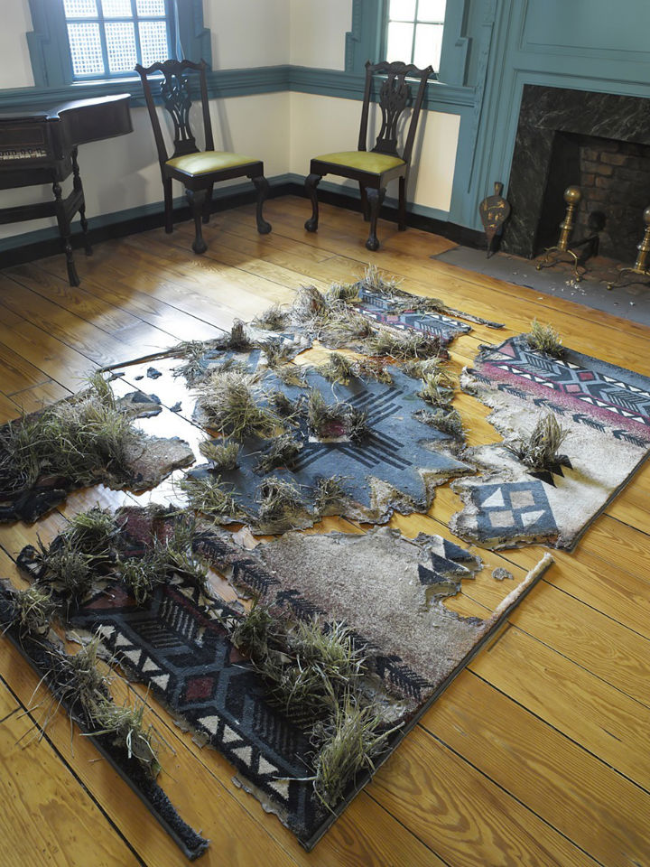 Carousel Image number 16