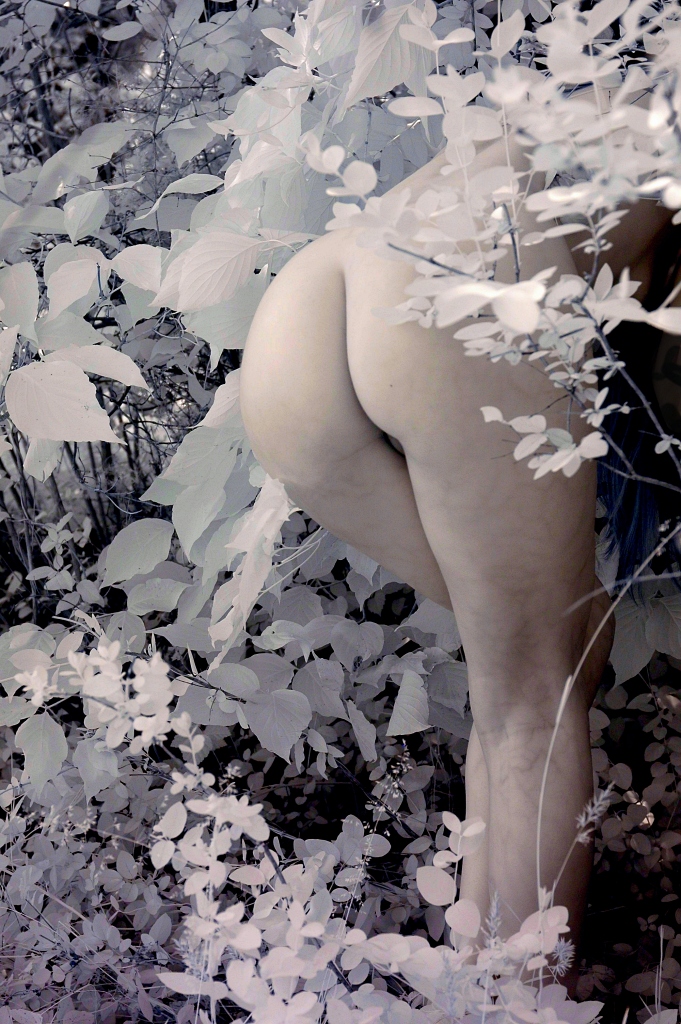 Carousel Image number 2