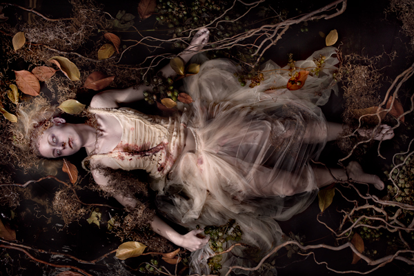 Carousel Image number 14