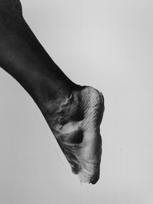 Carousel Image number 4