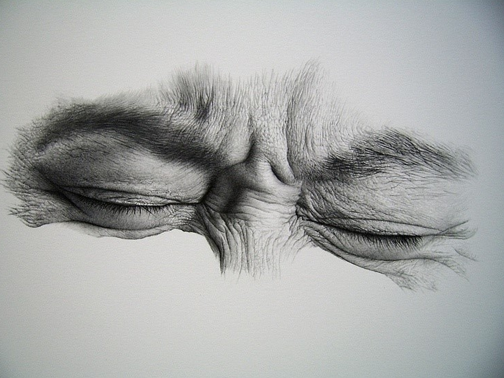 Carousel Image number 5