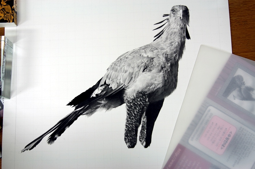 Carousel Image number 6