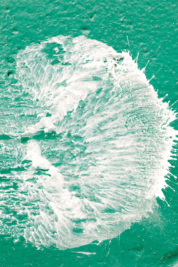 Carousel Image number 7