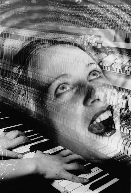 Carousel Image number 5