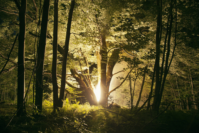 Carousel Image number 2