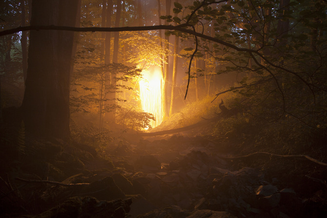 Carousel Image number 6