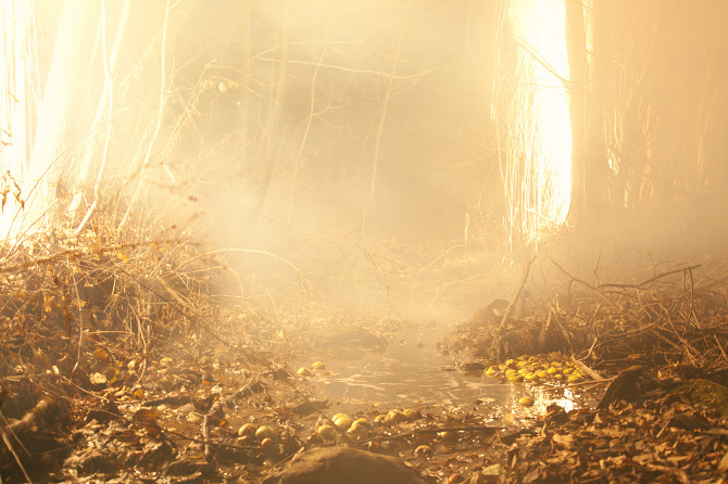 Carousel Image number 7