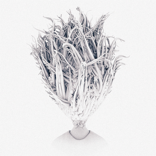 Carousel Image number 10