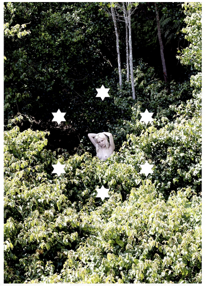 Carousel Image number 4