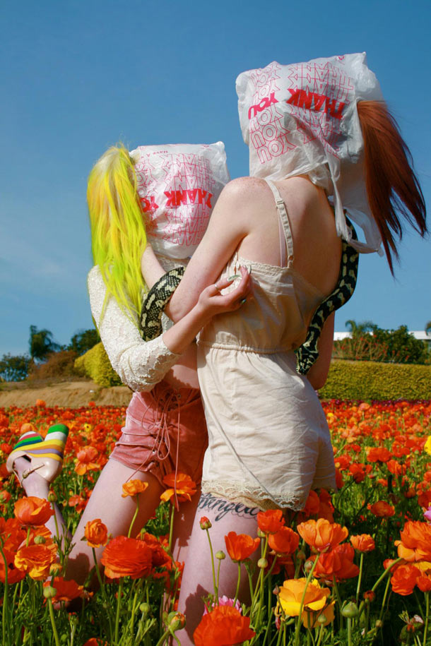 Carousel Image number 5
