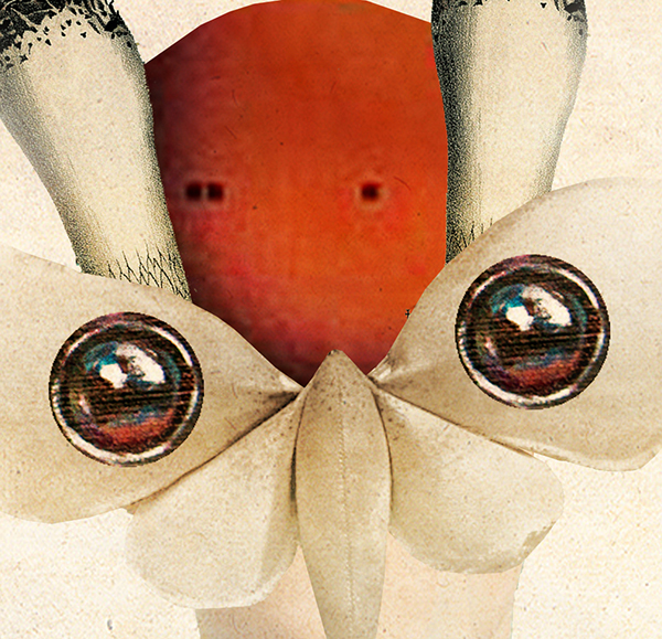 Carousel Image number 7