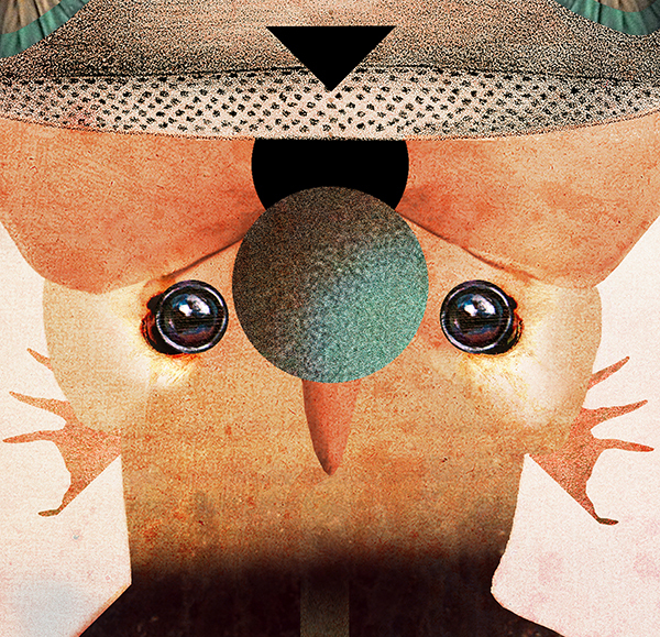 Carousel Image number 12