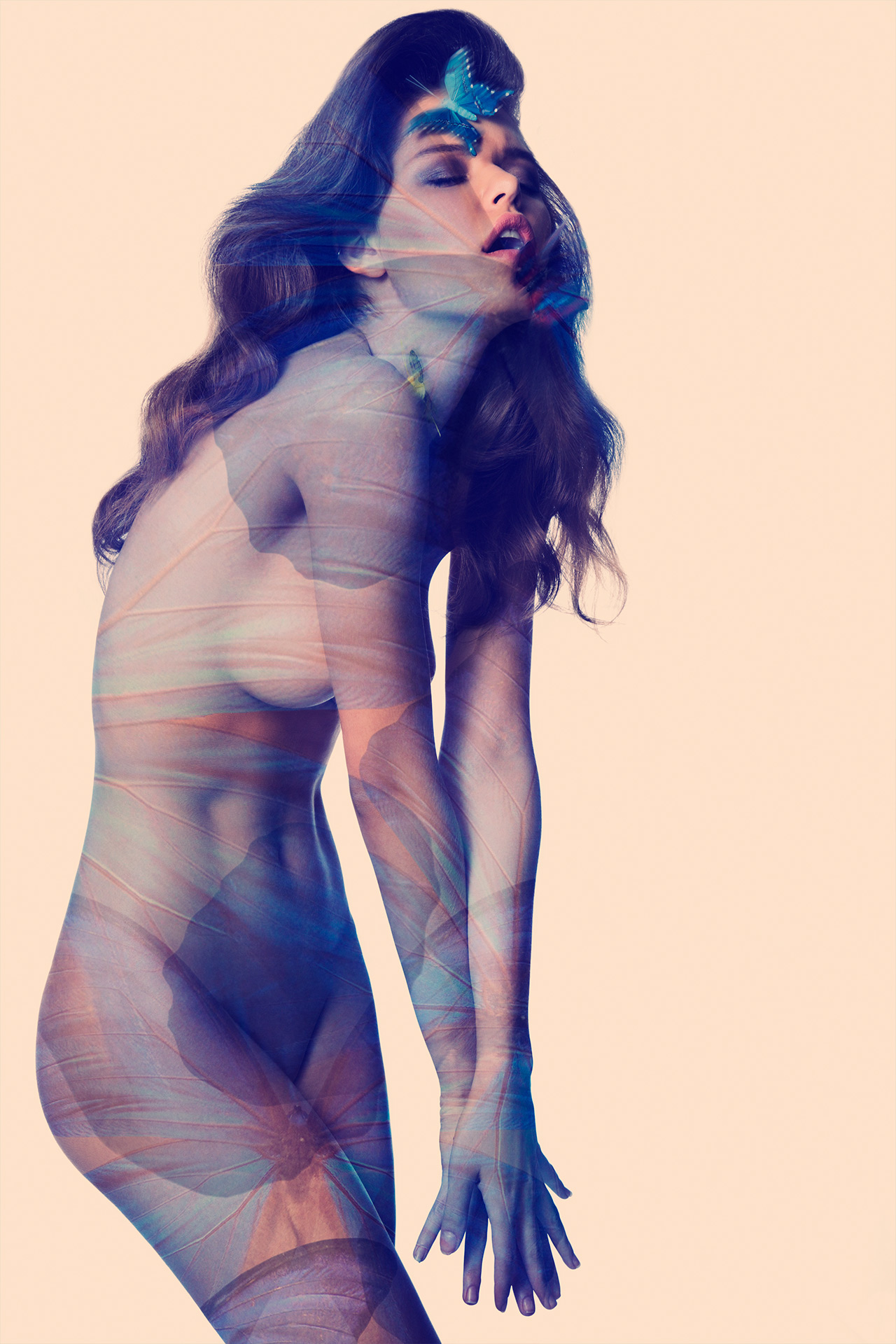 Carousel Image number 5