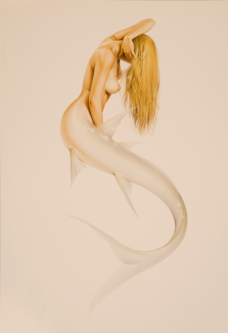 Carousel Image number 13
