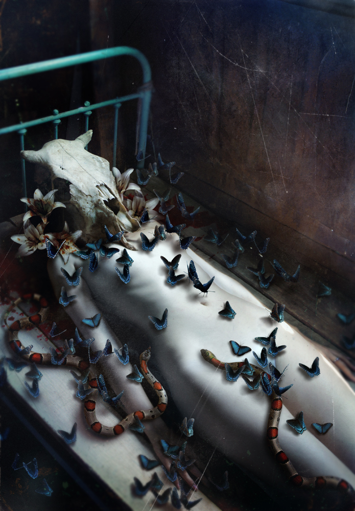 Carousel Image number 6
