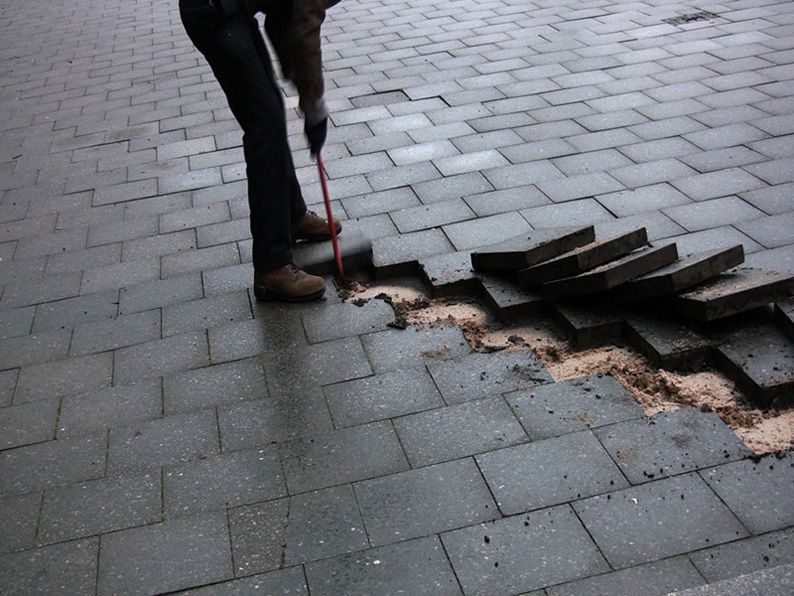 Carousel Image number 5