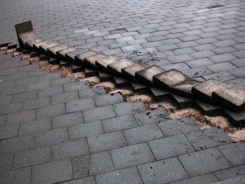 Carousel Image number 8