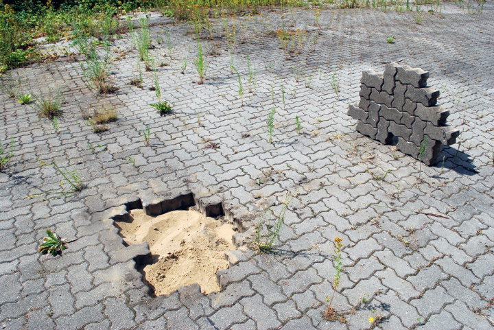 Carousel Image number 16