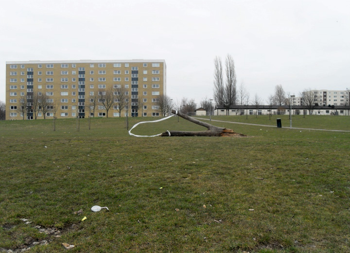 Carousel Image number 21