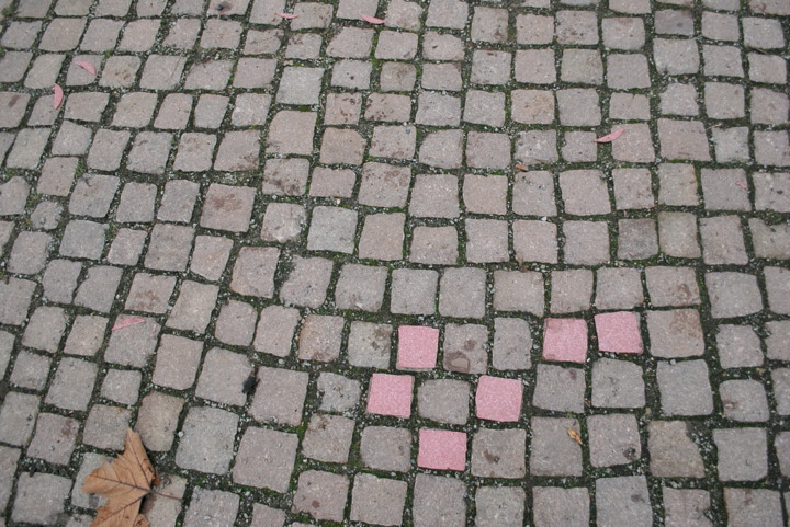 Carousel Image number 22