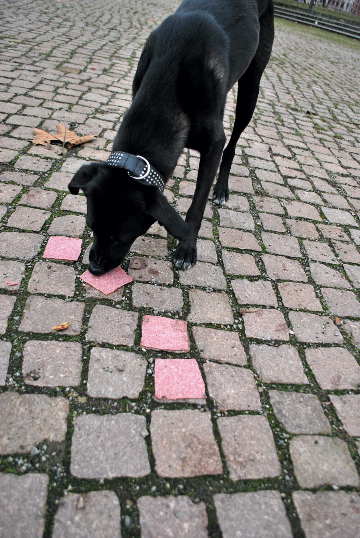 Carousel Image number 23