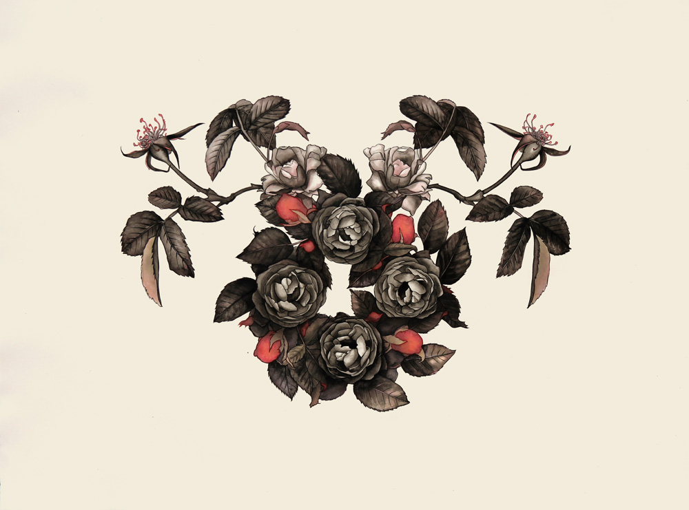 Carousel Image number 6