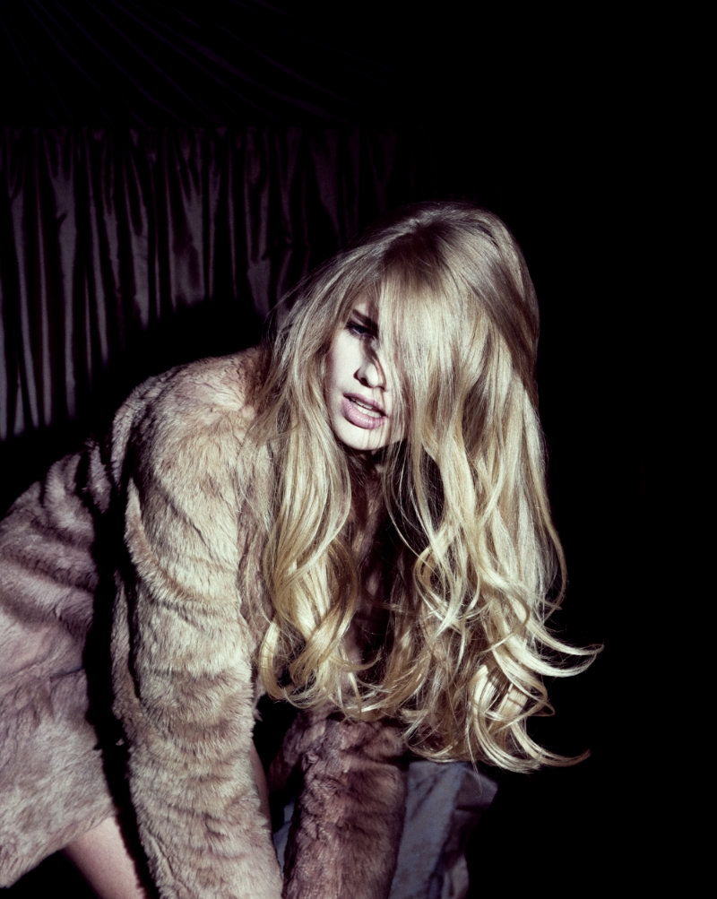 Carousel Image number 5