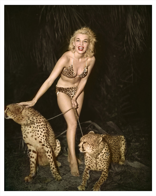 Carousel Image number 8