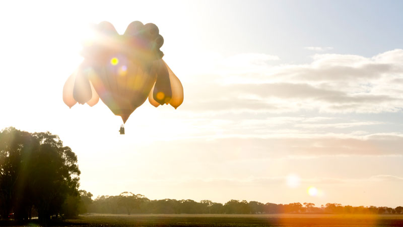 Carousel Image number 6