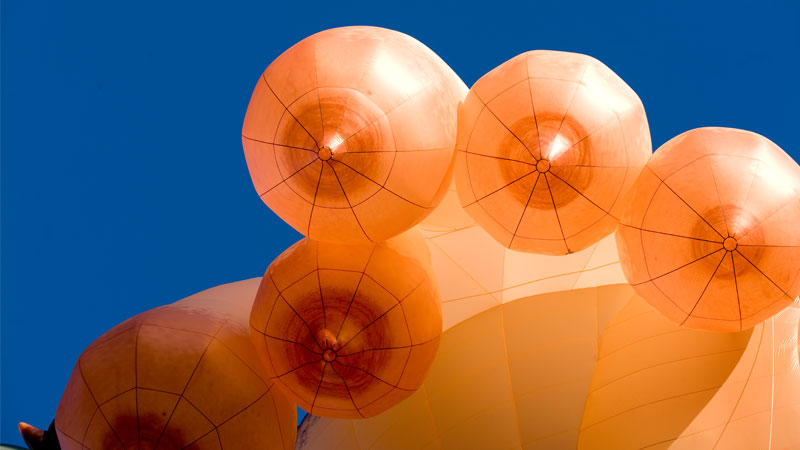 Carousel Image number 8