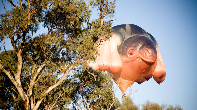 Carousel Image number 9